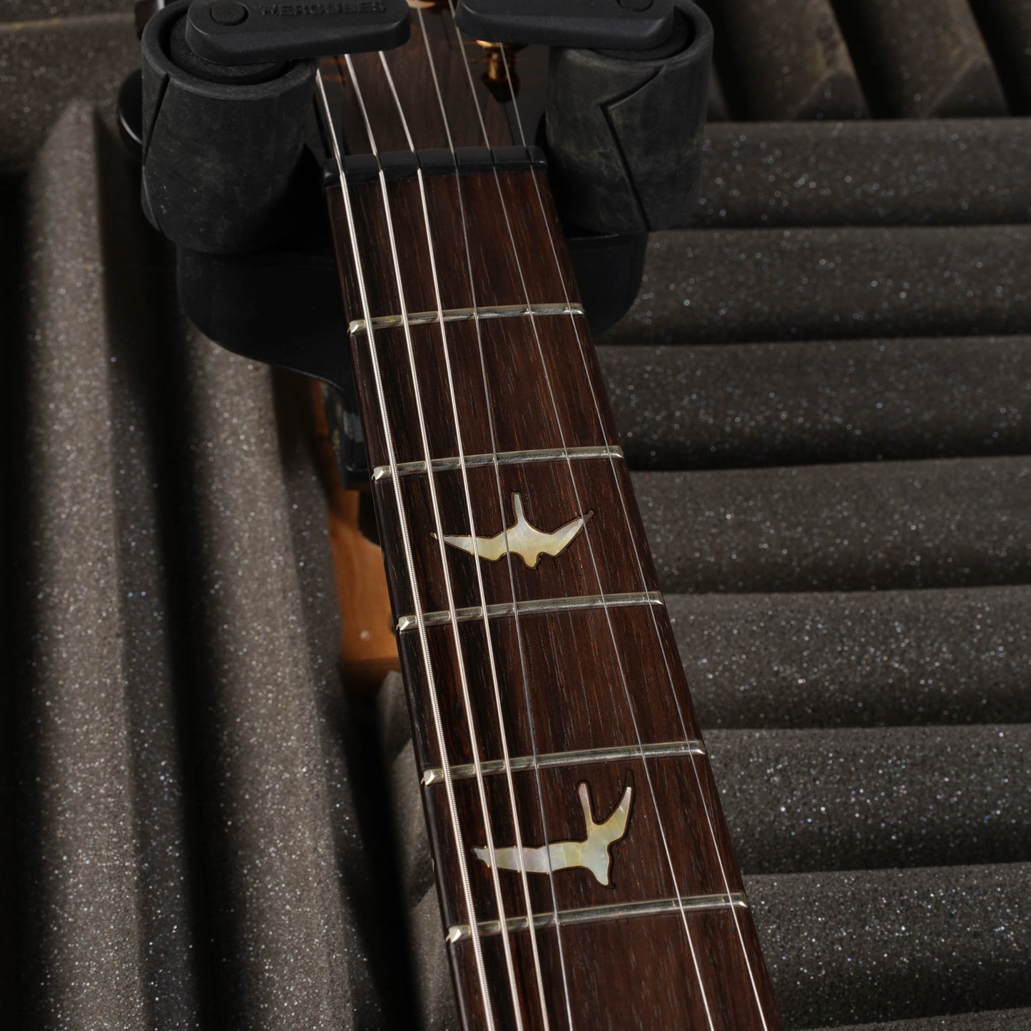 PRS Custom 22 Tremolo Private Stock