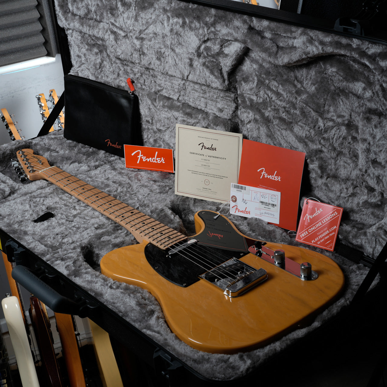 Fender American Professional Telecaster with Maple Fretboard 2017 - 2019 - Natural