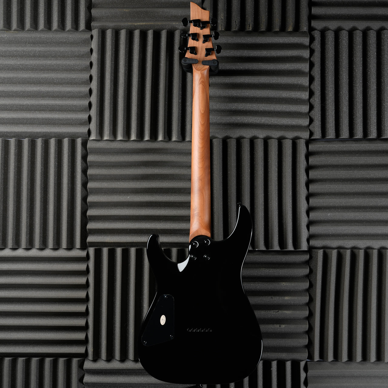 Schecter C-1 Standard 2024 - Present - Black Fade Burst Burl