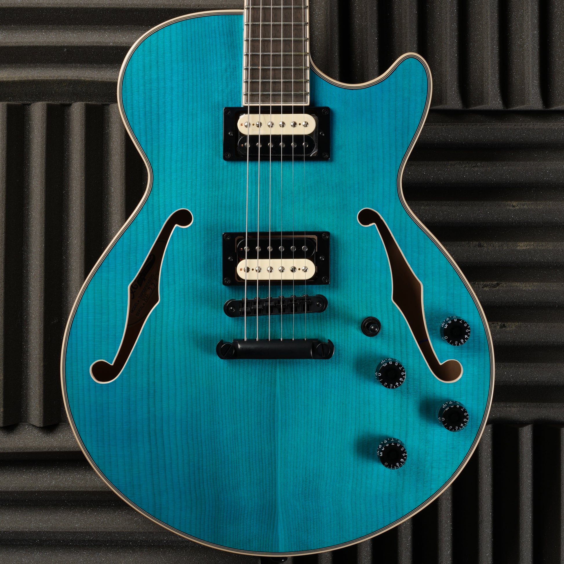 D'Angelico Premier Fabrizio Sotti SS - Fabrizio Blue