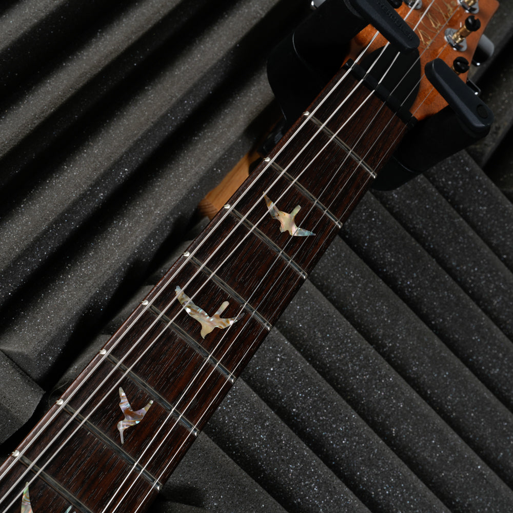 PRS Custom 24 2008 - Amber