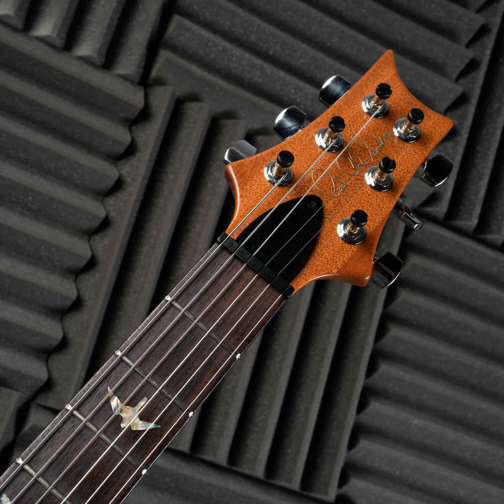 PRS Custom 24 2008 - Amber