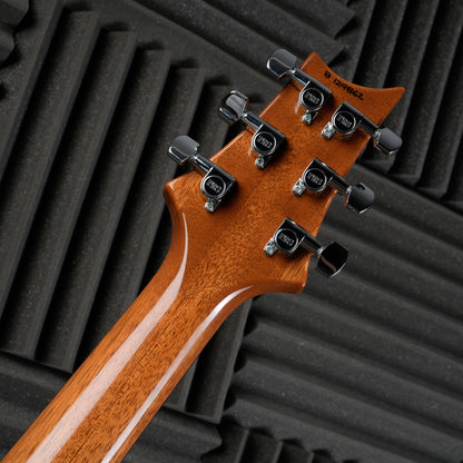 PRS Custom 24 2008 - Amber