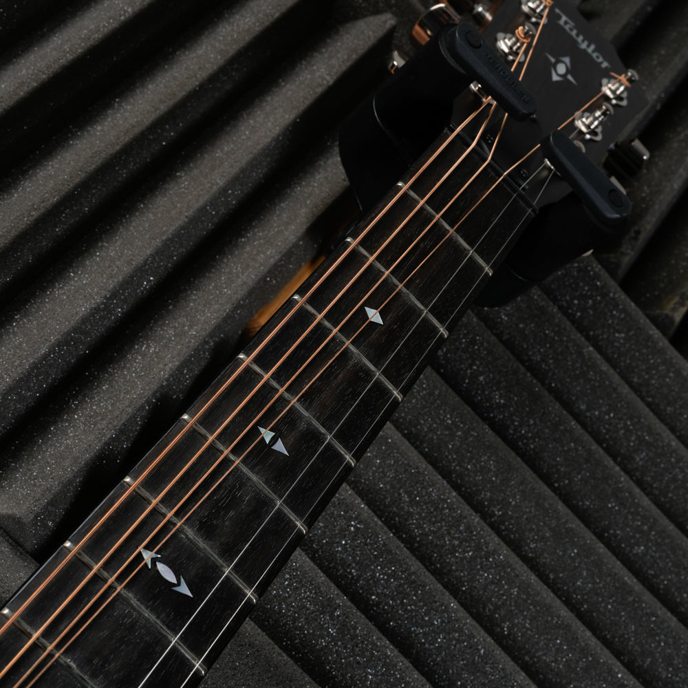 Taylor Builder's Edition 717e with V-Class Bracing 2019 - Present - Natural