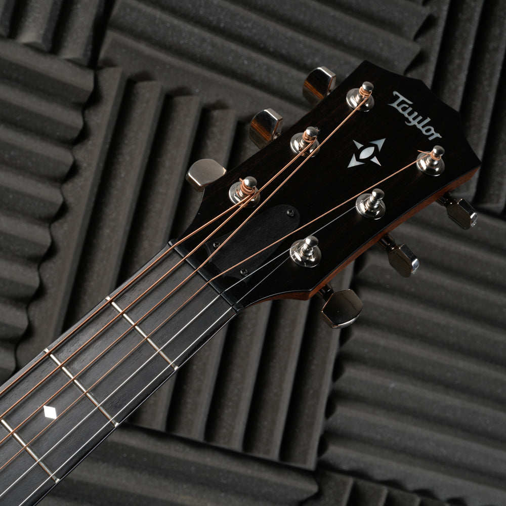 Taylor Builder's Edition 717e with V-Class Bracing 2019 - Present - Natural