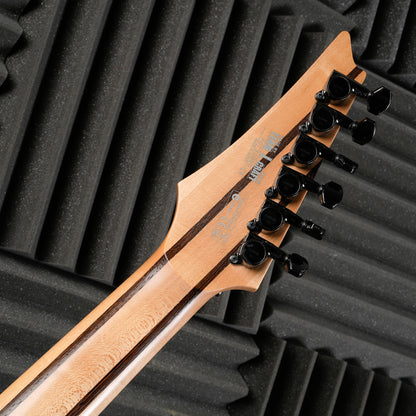 Ibanez RGT220A-NTF Prestige Evertune / Fishman Fluence - 2007 - Natural Flat