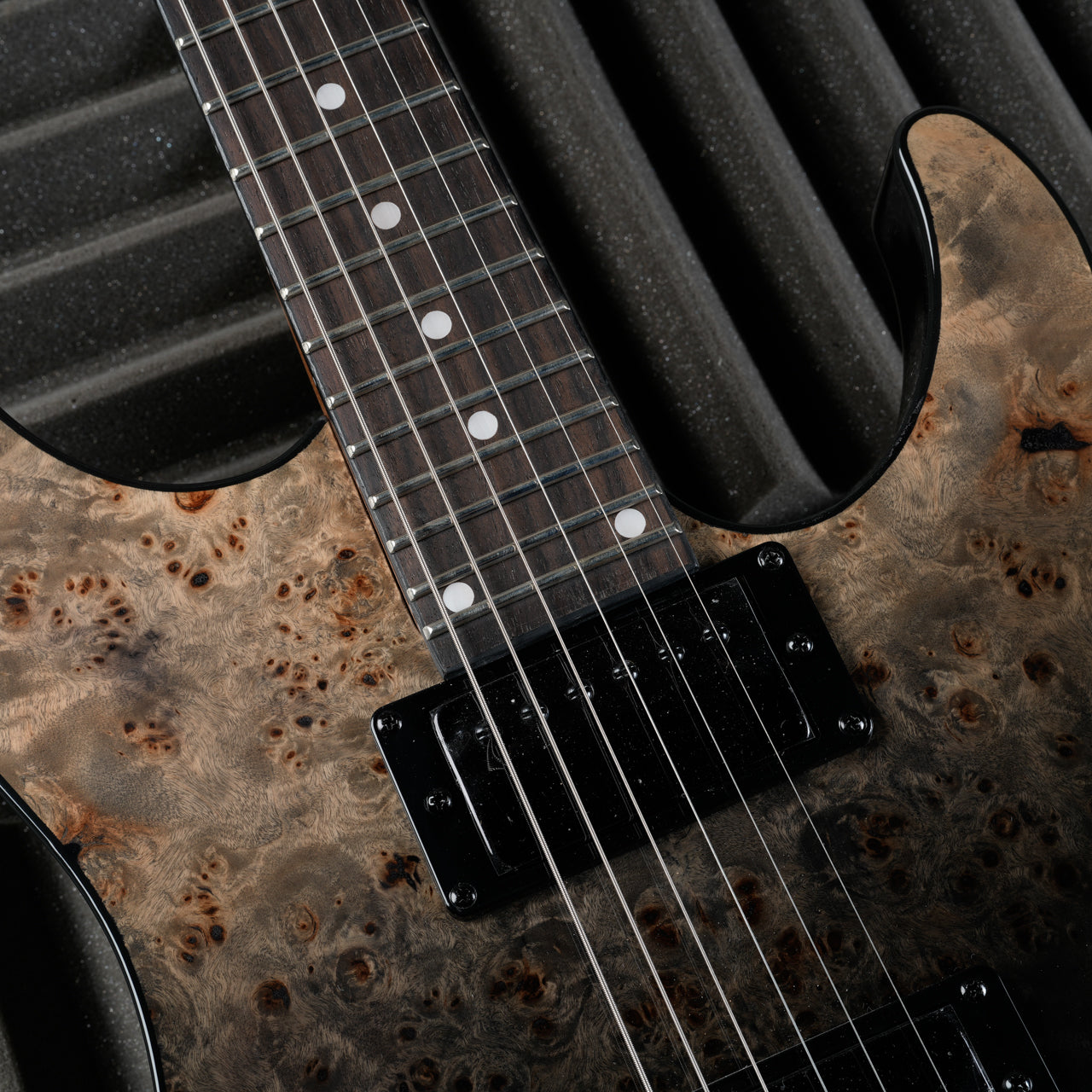 Schecter C-1 Standard 2024 - Present - Black Fade Burst Burl