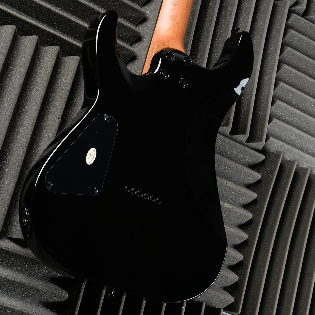 Schecter C-1 Standard 2024 - Present - Black Fade Burst Burl