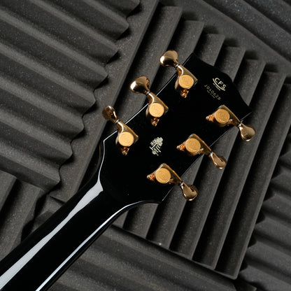 History GH-LCV 2004 Ebony